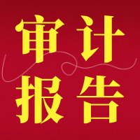 【视频】如何出具专利经济效益专项审计报告？