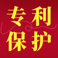 【文档】体现专利保护的材料有哪些？