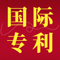 【文档】如何提供国际专利证明文件？