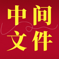 【文档】专利的“中间文件”是什么？